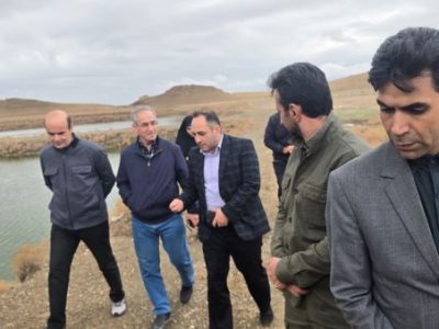 پیگیرتکمیل طرح پرورش آرتمیا بعنوان بزرگترین مرکز پرورش جلبک کشورهستیم