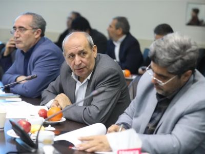 مجوز واردات نهاده‌های دامی در اختیار استان‌ها باشد