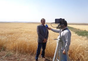 اهمیت دیم‌زارها در تأمین امنیت غذایی ایران در مواجهه با تغییرات اقلیمی