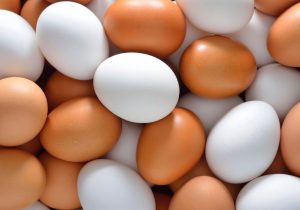آذربایجان شرقی سومین استان تولیدکننده تخم‌مرغ با تولید ۱۱۲ هزار تن در سال