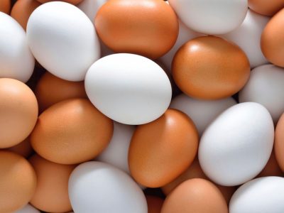 آذربایجان شرقی سومین استان تولیدکننده تخم‌مرغ با تولید ۱۱۲ هزار تن در سال