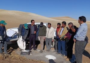 پایگاه‌های نوآوری، فصل تازه‌ای در کشاورزی دیم هشترود