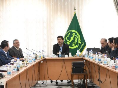 بیمه فعالیت های کشاورزی موجب کاهش ریسک این حوزه خواهد شد