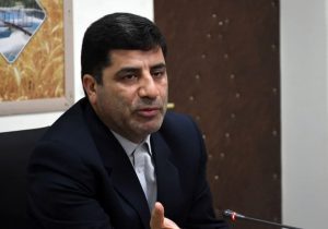 کاهش ۱۰ هزار هکتار از گندم زارهای آبی آذربایجان شرقی در سال ۱۴۰۳ با اجرای الگوی ملی کشت