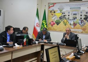 برنامه‌ریزی سازمان جهاد کشاورزی استان آذربایجان شرقی برای مبارزه هدفمند با سن گندم