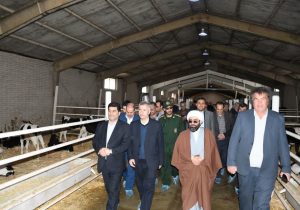 افتتاح گاوداری صنعتی شیری ۵۰۰ راسی در بخش ممقان شهرستان آذرشهر