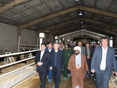 افتتاح گاوداری صنعتی شیری ۵۰۰ راسی در بخش ممقان شهرستان آذرشهر