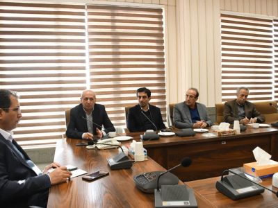 ۶۰ میلیون قطعه جوجه ریزی در آذربایجان شرقی در سال جاری