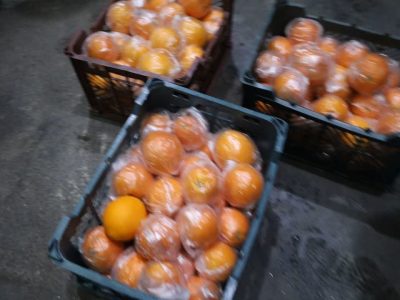توزیع میوه ایام پایانی سال با ۱۵ درصد کمتر از نرخ بازار در آذربایجان شرقی آغاز شد