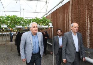 صرفه‌جویی ۳۰ میلیون مترمکعبی آب با توسعه کشت‌های کنترل‌شده
