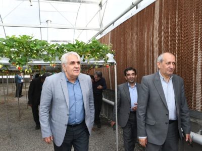 صرفه‌جویی ۳۰ میلیون مترمکعبی آب با توسعه کشت‌های کنترل‌شده