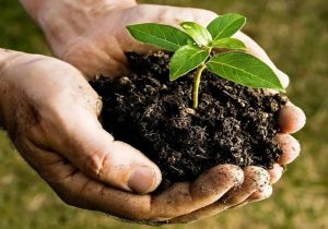 ۳۴۰ریسک محیط زیستی در ادارات گاز رفع شد