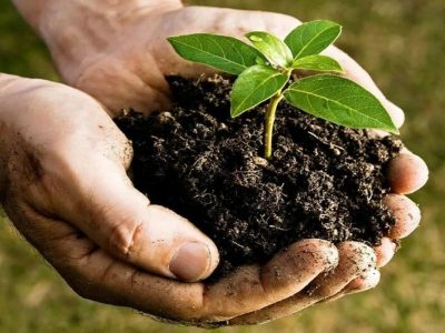 ۳۴۰ریسک محیط زیستی در ادارات گاز رفع شد