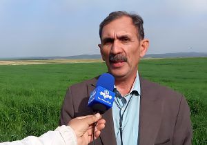 سیستم حفاظ‌های بارانی راهکار مناسب گزینش ارقام مقاوم به خشکی جهت مقابله با تغییرات اقلیمی
