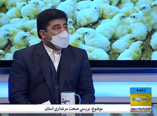 خودکفایی آذربایجان شرقی در تولید گوشت مرغ