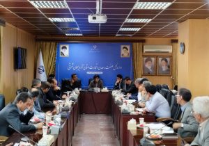 نقش قابل توجه آذربایجان شرقی در سرمایه گذاری و تولید قطعات خودروهای الکترونیکی در کشور