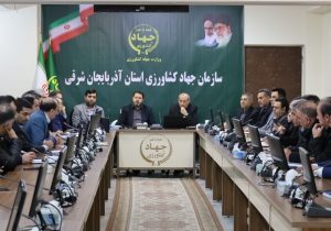 تسهیل صادرات تخم‌مرغ برای حمایت از تولیدکنندگان