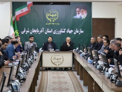 تسهیل صادرات تخم‌مرغ برای حمایت از تولیدکنندگان