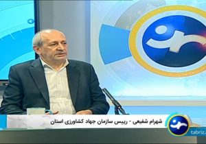 جهش بیمه کشاورزی در آذربایجان شرقی؛ سطح پوشش اراضی زراعی از ۲۲۵ هزار به بیش از ۶۰۰ هزار هکتار رسید