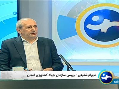 جهش بیمه کشاورزی در آذربایجان شرقی؛ سطح پوشش اراضی زراعی از ۲۲۵ هزار به بیش از ۶۰۰ هزار هکتار رسید