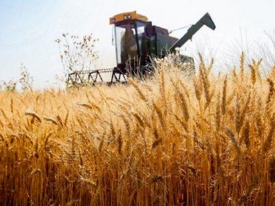 تخفیف ۴۵ درصدی بیمه برای کشاورزانی که همزمان در طرح جهش تولید و کشاورزی قراردادی شرکت کنند