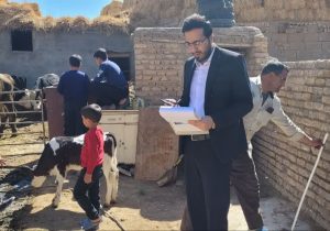 پرداخت ۱۳۸ میلیارد ریال تسهیلات در زمینه مشاغل خانگی در شهرستان تبریز