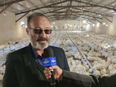 بازگشت ۱۳ واحد مرغداری گوشتی راکد و مشکل دار در شهرستان مرند به چرخه تولید