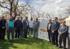 آغاز اولین مرحله طبخ و توزیع رایگان ماهی( غذای سلامتی) از روستای عنصرود شهرستان اسکو