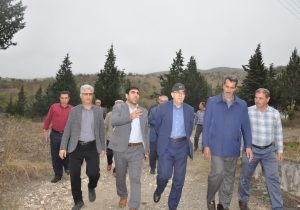تولید ۲۵ هزار قطعه جوجه بوقلمون یکروزه در هر دوره تخمگذاری در ایستگاه تحقیقاتی بوقلمون کشور