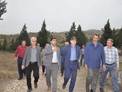تولید ۲۵ هزار قطعه جوجه بوقلمون یکروزه در هر دوره تخمگذاری در ایستگاه تحقیقاتی بوقلمون کشور