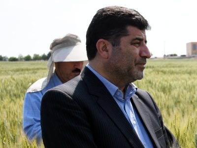 طرح جهش تولید ۲۳ برابرِ هزینه برای دیمکاران عایدی دارد
