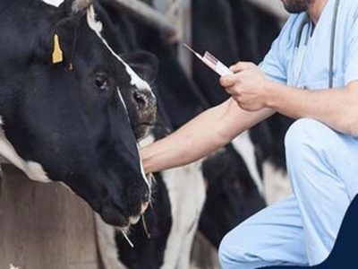 رتبه اول شهرستان تبریز در تلقیح مصنوعی با رشد ۵۷ درصدی در سال ۱۴۰۲