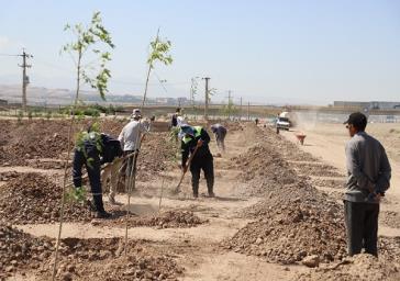 پیشرفت ۷۵ درصدی پروژه کاشت و توسعه فضای سبز اتوبان غرب تبریز