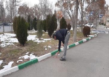 شناسایی و علامت‌ گذاری محلهای واکاری درختان در سطح شهر