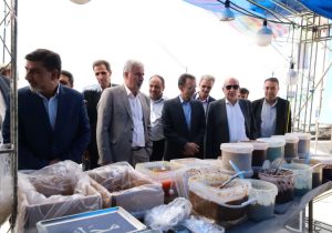هم‌افزایی مدیران کشوری و استانی برای گذار از خام‌فروشی در آذربایجان‌شرقی
