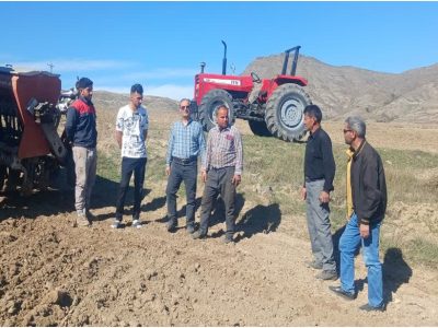 ایجاد مزرع نمایشی تریتیکاله در بخش چهاردانگه شهرستان هوراند