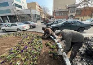 کاشت ۹ میلیون بوته از انواع گلهای بهاری در سطح شهر