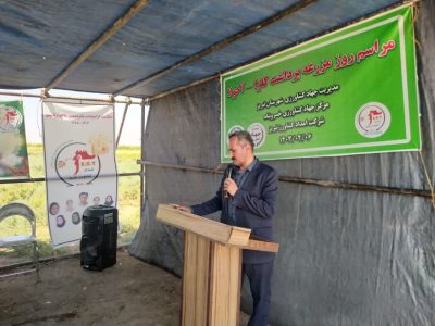 ثبت ۱۴ هزار و ۷۰۰ هکتار کشاورزی قراردادی در شهرستان تبریز