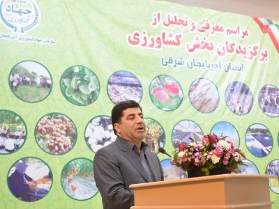 تعیین قیمت کارشناسی خرید گندم اقدام بزرگ دولت سیزدهم است