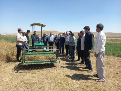 برداشت مکانیزه بالنگوی شهری برای اولین بار در شهرستان ورزقان