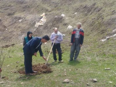کشت سماق برای اولین بار در شهرستان اهر