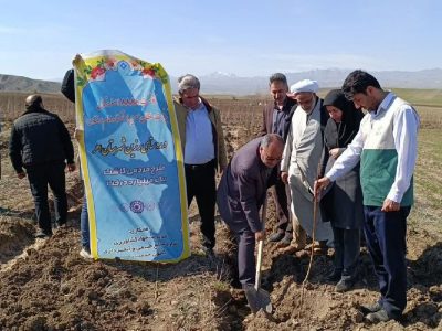 غرس ۸۸۸۸ اصله نهال به نیت امام رضا (ع) در شهرستان اهر