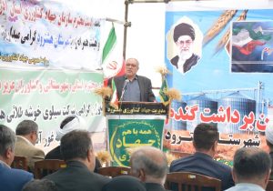 مراکز خرید گندم، آماده دریافت گندم کشاورزان هستند