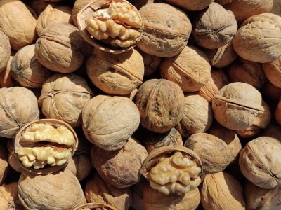 افزایش ۲۲ درصدی تولید گردو در آذربایجان شرقی