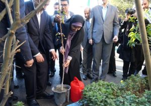 وزیر راه و شهرسازی در تبریز با غرس نهالی به پویش ملی «مهر سبز» پیوست