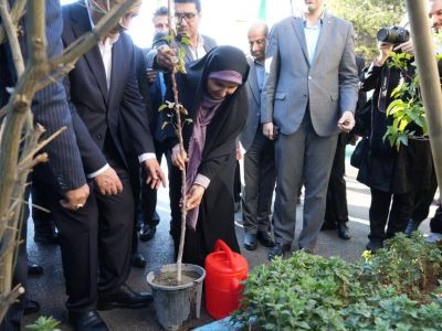 وزیر راه و شهرسازی در تبریز با غرس نهالی به پویش ملی «مهر سبز» پیوست