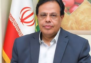 گامی مؤثر در جهت پایداری شبکه برق و بهره‌وری پایدار از اراضی ملی