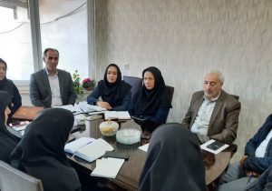 کمیته استانی قانون جوانی جمعیت