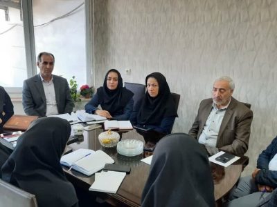 کمیته استانی قانون جوانی جمعیت