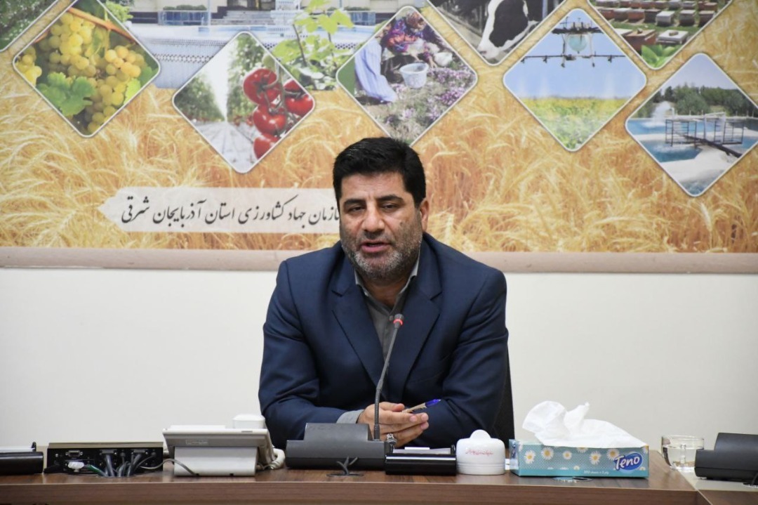 تاکید رئیس سازمان بر الکترونیکی شدن کل روند اداری مربوط به حوزه اراضی